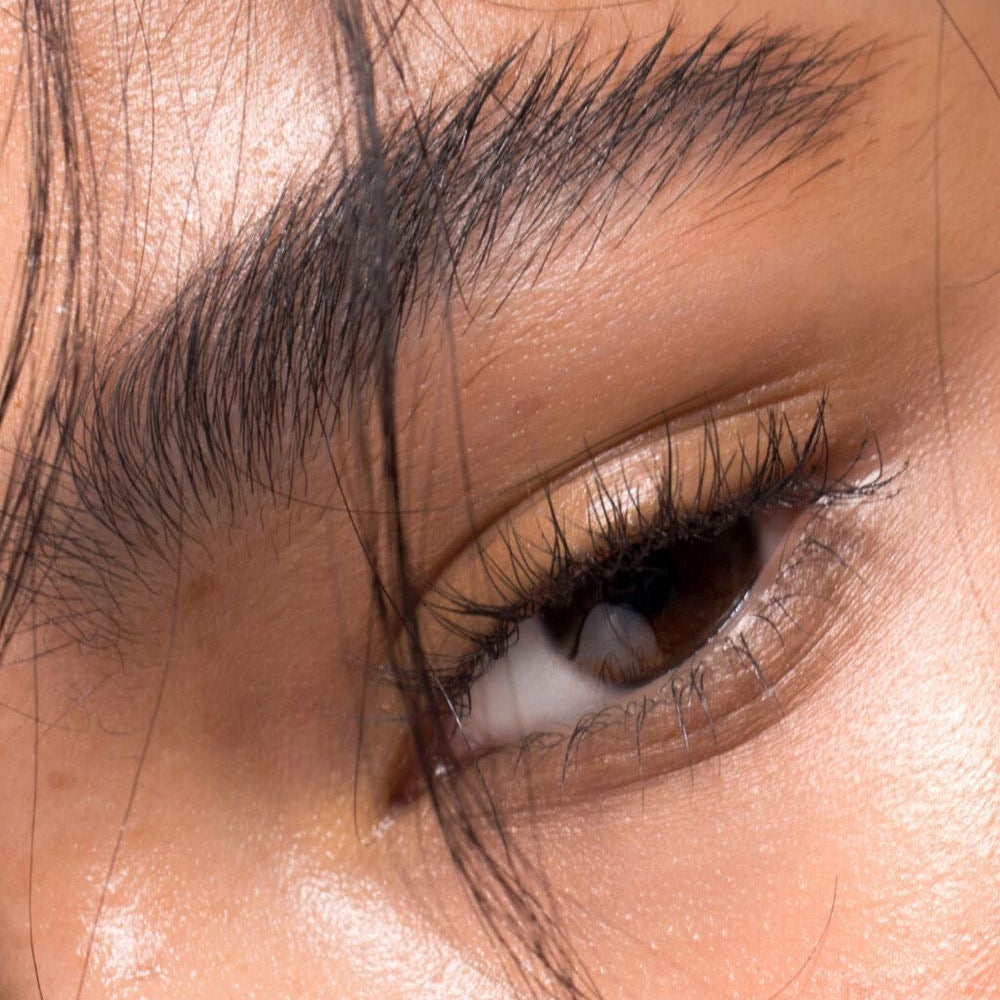 Fixateur à sourcils